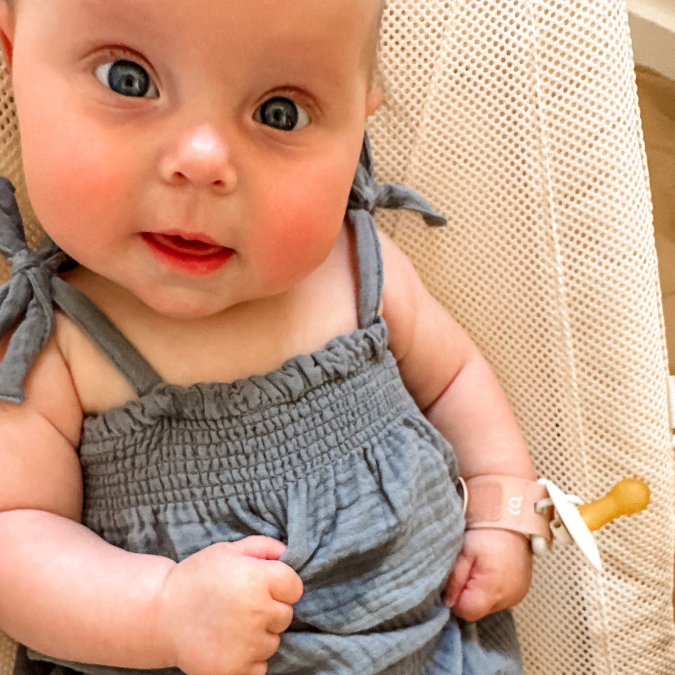 Pacifier Wristband: Sequoia